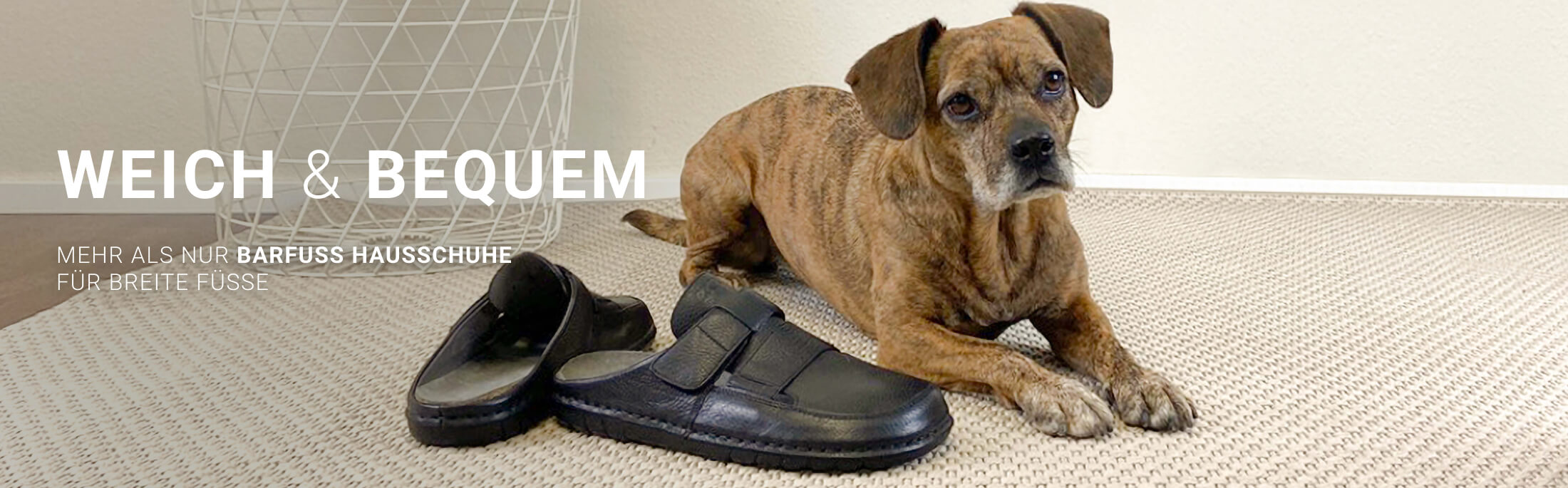 Ein Hund liegt neben bequemen Hausschuhen auf einem Teppich, mit einem Korb im Hintergrund.